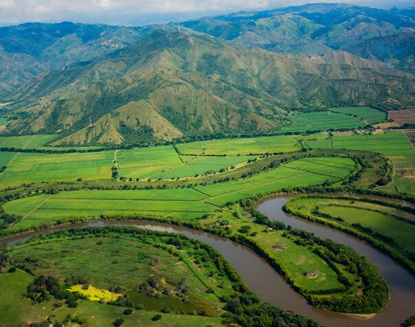 Estrategia de internacionalización del Valle del Cauca